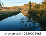 Olona river panorama landscape trees color leaves green yellow banks water Po Valley nature natural naturalistic Italy Italian