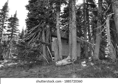 Olympia National Park Ranger House Black And White