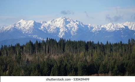 Olympic Mountains W/snow