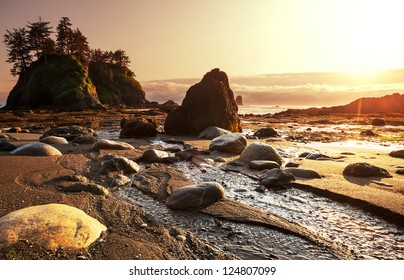 Olympic National Park Landscapes