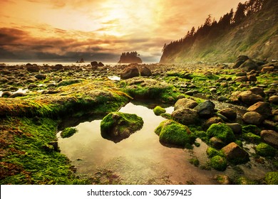 Olympic National Park Landscapes