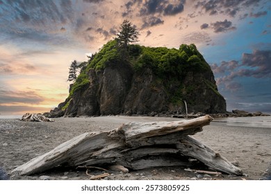 Olympic National Park Ruby Beach