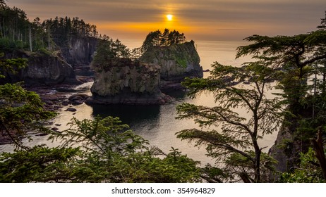 Olympic Peninsula, Cape Flattery Trail