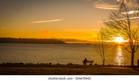 Olympic Sculpture Park, Seattle, King County