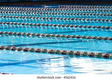 Olympic Size Swimming Pool Is Ready For Swimmers To Compete