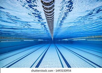 Olympic Swimming pool underwater background. - Shutterstock ID 1493150954