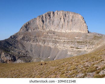 Olympus Mountain -stefani And Wild Goats