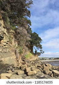 Omaha Beach, New Zealand, 2016