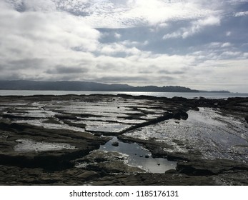 Omaha Beach, New Zealand, 2016