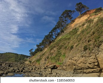 Omaha Beach, New Zealand, 2016