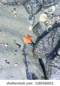 Omaha Beach, New Zealand, 2016