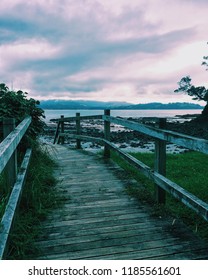 Omaha Beach, New Zealand, 2016