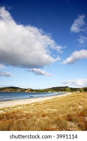 Omaha Beach In New Zealand