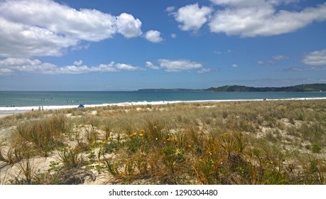 Omaha Beach New Zealand - Summer Holiday