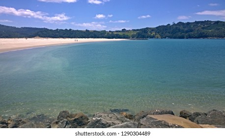 Omaha Beach New Zealand - Summer Holiday