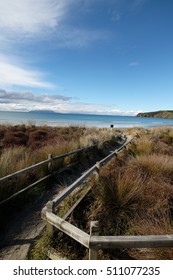 Omaha Beach,New Zealand