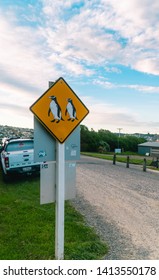 Omaru, New Zealand - Jan 2019: Cute, Funny Yellow Penguin Crossing Road Sign. Road And Sky Background. Shot In South Island, NZ.