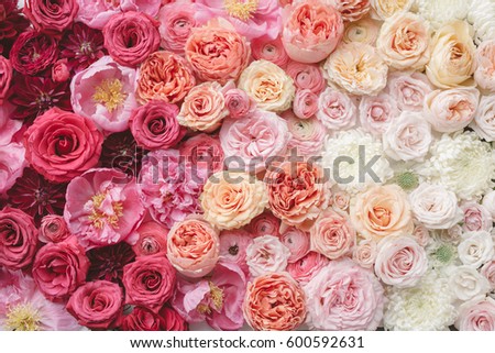 Ombre flowers