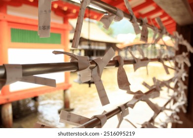 Omikuji Fortune Papers Tied at Shinto Shrine in Japan - Powered by Shutterstock