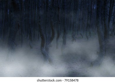 ominous forest - twisted trees and fog creating creepy landscape