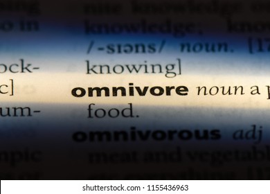 omnivore word in a dictionary. omnivore concept. - Shutterstock ID 1155436963