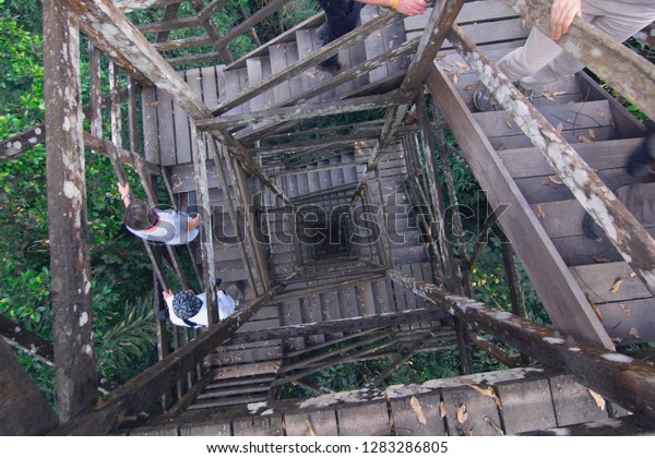 On an amazon rainforest canopy tour. See high up\
views of the green forest under the hot tropical sun. The suspended\
rope and wood bridges connect the treetops. Adventurous tourists\
cross.
