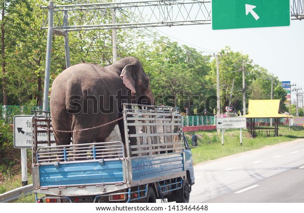 On April\
28, 2019, Thailand, at 09:45 am, an elephant truck is traveling on\
a royal road.  North of\
Thailand
