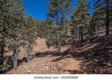 39 Hiking Troddos Mountains Images, Stock Photos & Vectors | Shutterstock