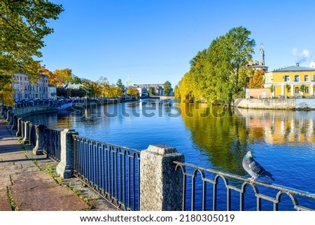 On the autumn embankment of the river in St. Petersburg. Pigeon on autumn city river embankment. Autumn river in Saint Petersburg, Russia. Autumn Fontanka river