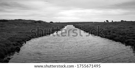 parted Meadow Field Coast