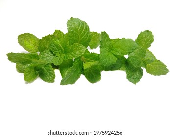 Photo​ of peppermint​ isolated​ on white​ background. Fresh​ mint​ leaves​ on white​ background. Green​ leaves​ of peppermint.
