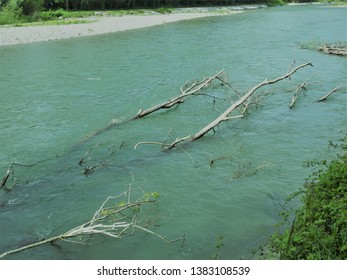 On The Banks Of The Gave De Pau