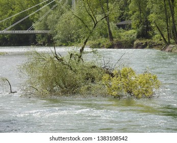 On The Banks Of The Gave De Pau