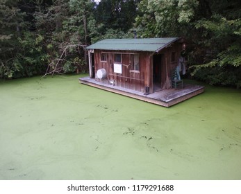 On The Bayou - Audubon Zoo, New Orleans, LA