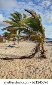 on the beach