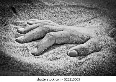 On The Beach Hand In Rigor Mortis Protruding From The Sand