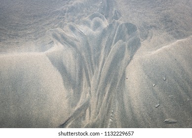 On A Beach In Pacific Rim National Park Reserve, British Columbia, Canada