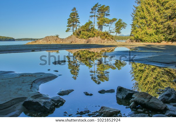 On Beach Tofino Vancouver Island Canada Stock Photo Edit Now