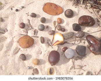 On The Beach Where Seeds Are Collected, Ilha Do Marajó