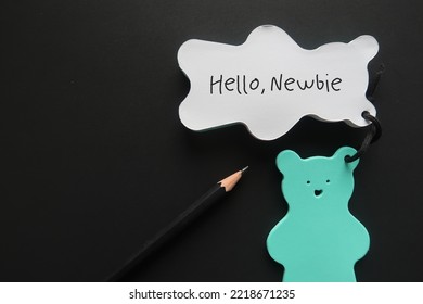 On black copy space background, pencil wrote on bear notebook HELLO NEWBIE, refers to inexperienced newcomer worker employee in the workplace just started doing activity, profession or first jobber - Shutterstock ID 2218671235
