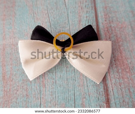 on a blue wooden background lies a small black and beige bow with a sewn-on latex elastic band.  accessories.  bow for a dog with long hair.  view from above. noce bow 