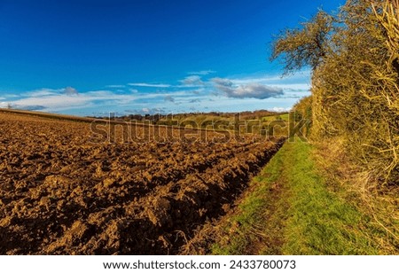 On the border of the forest by a plowed field. Plowed field on agricultyral scene. Agriculture plowed field. Plowed field landscape