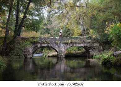 
On the bridge