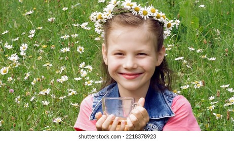 On A Chamomile Lawn, A Sweet Girl In A Wreath Of Daisies, Smiling, Pressing Her Hands To Her Cheeks. High Quality Photo