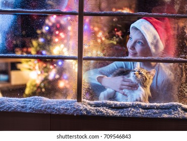 On Christmas Night An Adorable Little Boy With A Santa Hat And His Little Cat Are Looking Up At The Sky Through The Window. They Are Waiting For Santa Claus. There Is Frost And Snow On The Window