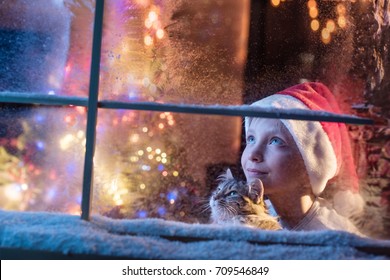 On Christmas Night An Adorable Little Boy With A Santa Hat And His Little Cat Are Looking Up At The Sky Through The Window. They Are Waiting For Santa Claus. There Is Frost And Snow On The Window