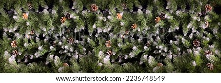 Сones on the Christmas tree background panoramic Christmas and New Year concert.