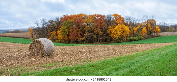 On a cloudy day, a single hay bale sits on top of a hilly field. Colorful autumn trees are surrounded by the plowed fields. - Powered by Shutterstock