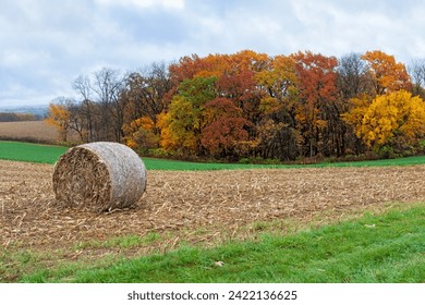 On a cloudy day, a single hay bale sits on top of a hilly field. Colorful autumn trees are surrounded by the plowed fields. - Powered by Shutterstock