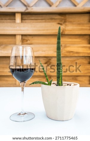 On a cobalt blue table, two glasses of red wine rest beside a small cactus, creating a striking contrast between the deep red, vibrant blue, and desert green